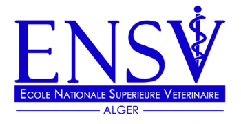 ENSV LOGOTYPE PNG